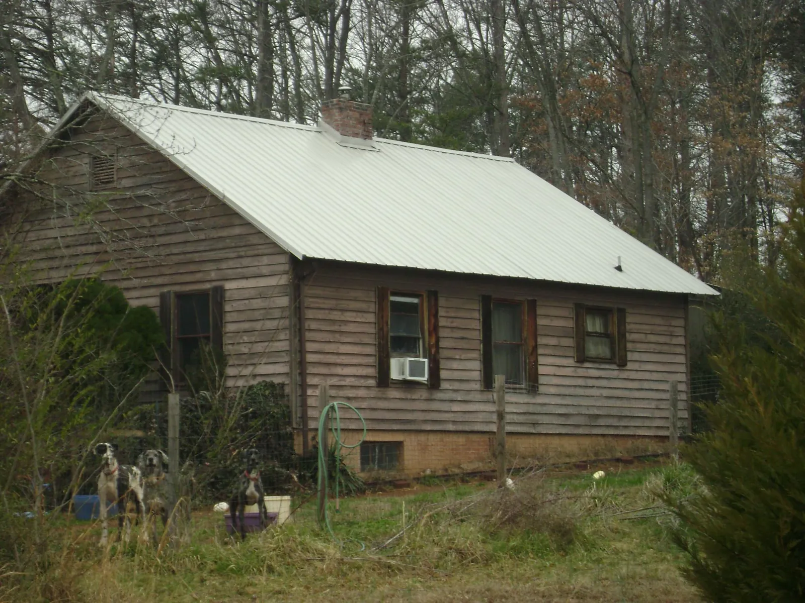 White metal roof on an old wood sided farmhouse, from a Asphalt Shingle Roof Repair job in Golden